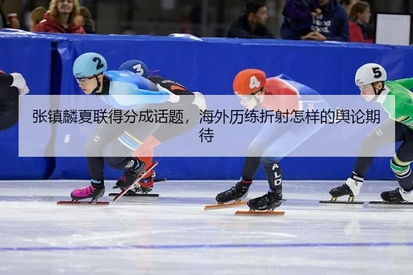 zhang-zhen-lin-xia-lian-de-fen-cheng-hua-ti-hai-wai-li-lian-zhe-she-zen-yang-de-yu-lun-qi-dai-2-864.jpg