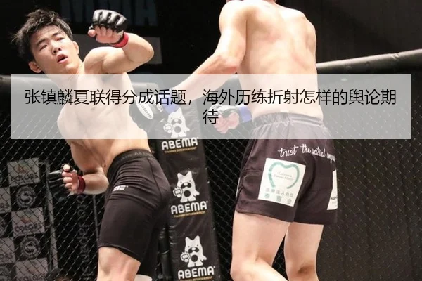 张镇麟夏联得分成话题，海外历练折射怎样的舆论期待